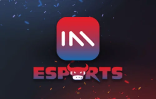  Maxwyn ESPORT 